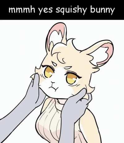 Furry_irl