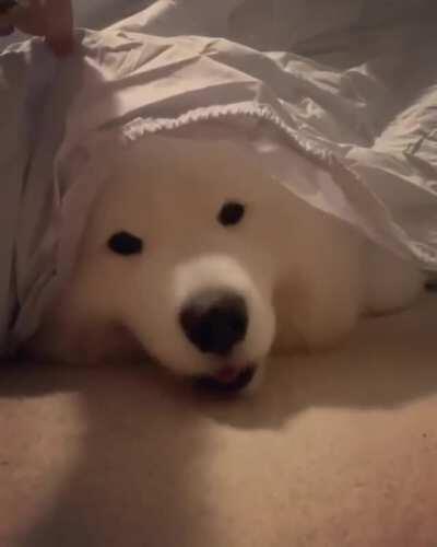 Wassup panda queen?? How you doin?