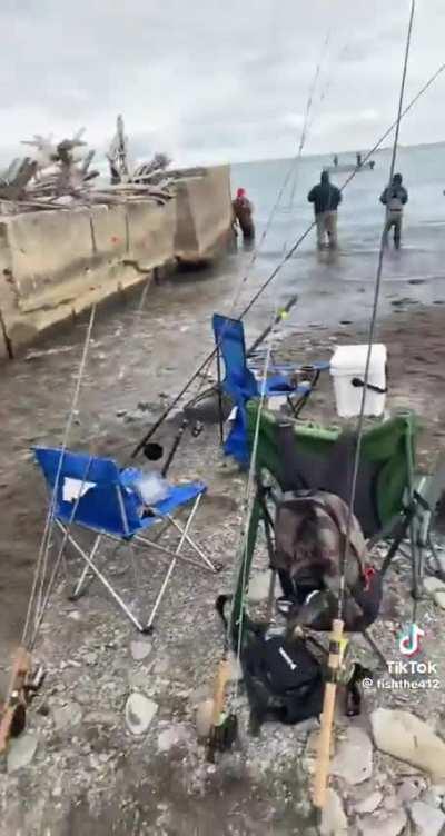 To find the trout...