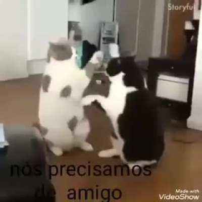 Vídeo muito lindo chorei 😭😭😭