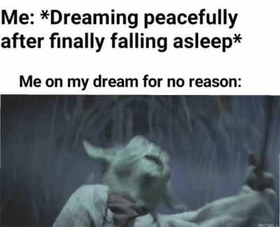 *Immediately wakes up*