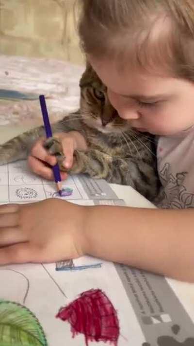 The cat has a lot of patience