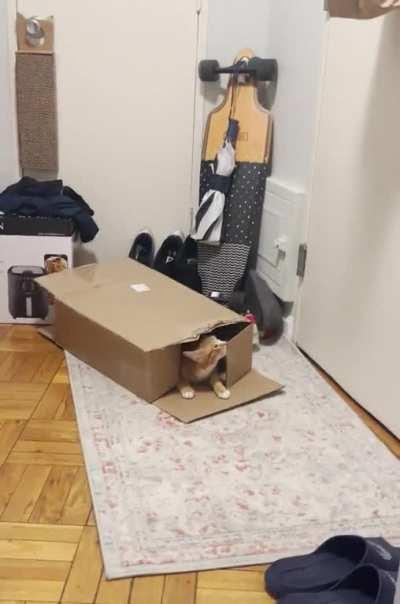 Didn’t think that one through huh