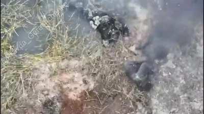 Drone drops 9 grenades on Russian troops.