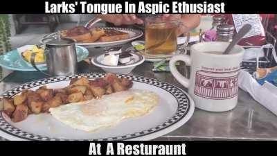 In a tangle of night and daylight sounds