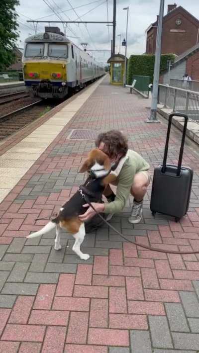 Welcome home my human... I missed you sooo much