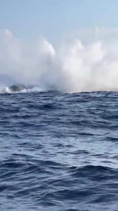 Mama whale breaches followed closely by her calf