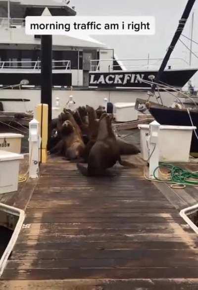 Apparently they're afraid of jiggling keys.