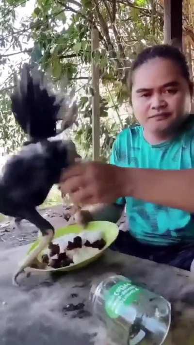 Can't even enjoy a good meal