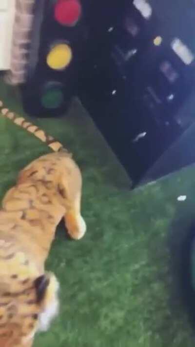 Not a day I think bout this snippet and not want it so badly. We need this 😭