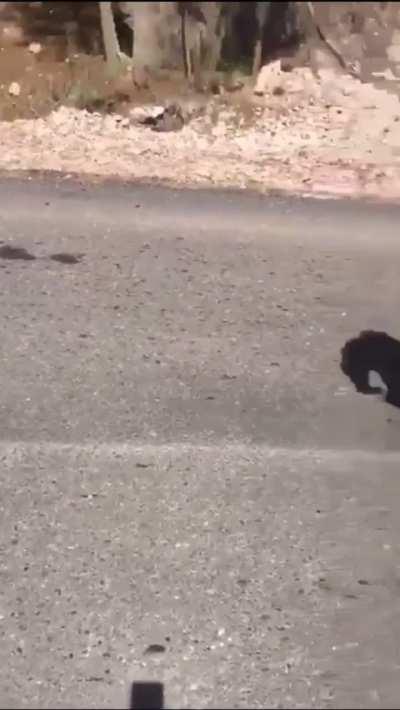Los Cabreras (CDS-Durango) test firing at checkpoint 