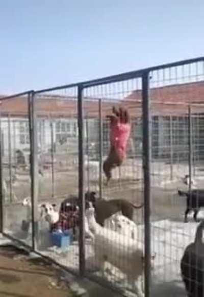 I wanted to be the first one out