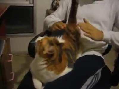 Don't stop. I like it.