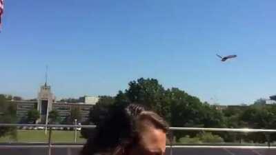 Fly away, little buddy!