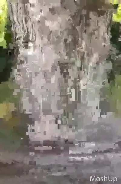 day 3 in ohio i dont know how to escape