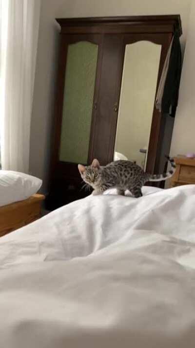 Thought you guys would like this here