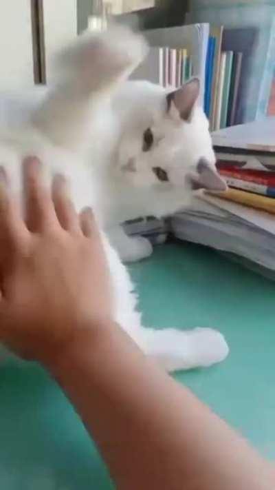 I'm busy Don't bother me