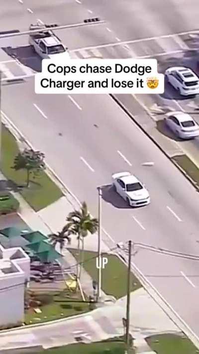 to catch a criminal in a dodge charger 