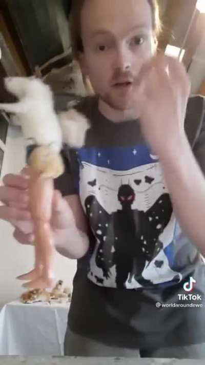 A new role: the hunter