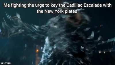 Factual and accurate 