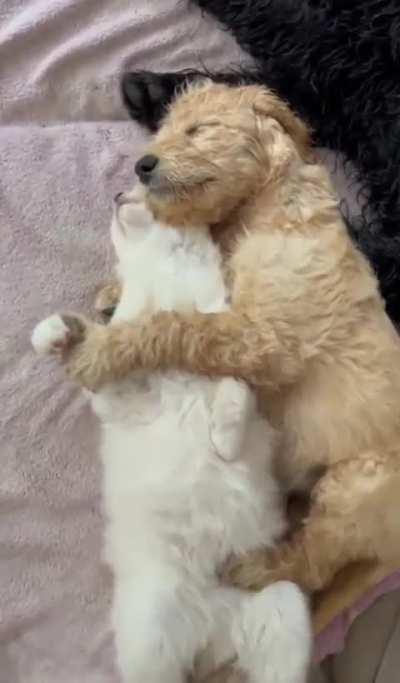 Sweet hugs