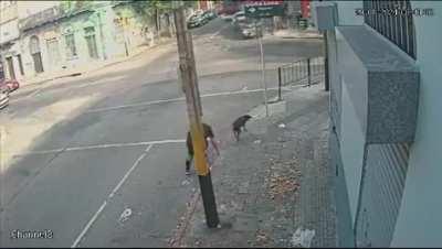 En el video se aprecian dos cagadas