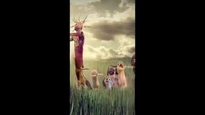 Whatcha thinking about?