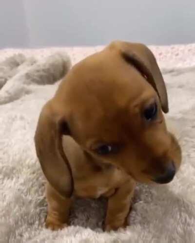 What's this noise I hear?