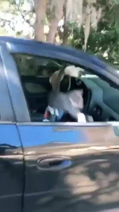 wtf is going on here