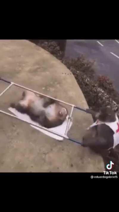 Simplemente monos 🐵 🐒