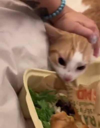 Let me!.. Just for one second.. Just…