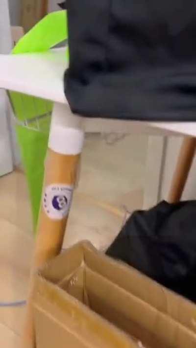 This guy never misses the chance