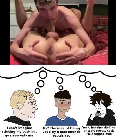 Average conversation with the bros