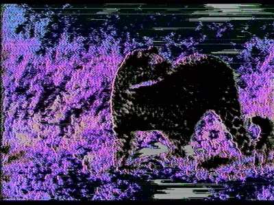 N0100 | by MAX CAPACITY