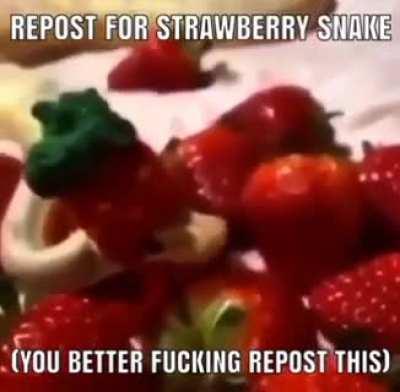 You better repost this