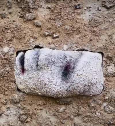 Don't put your dick in the rockussy