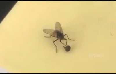 Trying to tighten some loose screws