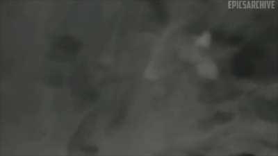 It was all just in your imagination...