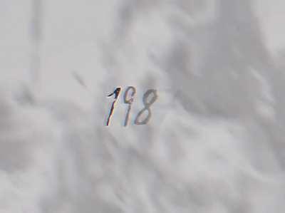 118 years of Palestine