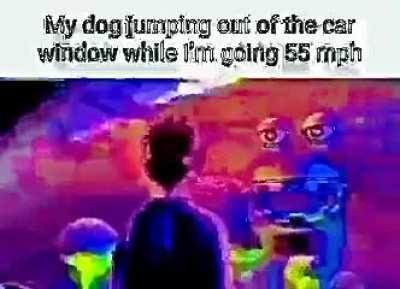 nuked dog
