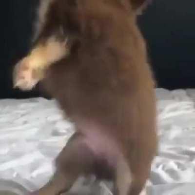 Nomes para a filho do Eredin chat?