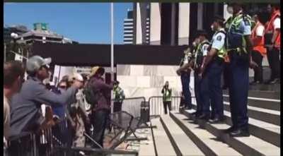 Protestors storm New Zealand Parliament.. then remember they’re from New Zealand
