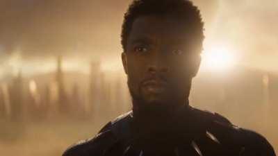 A Tribute To The KING OF WAKANDA