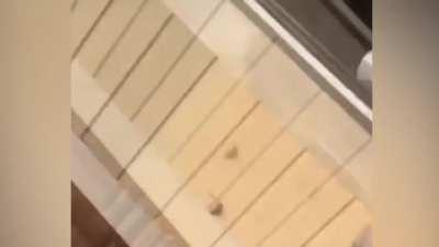 In quale città amico mioooo???