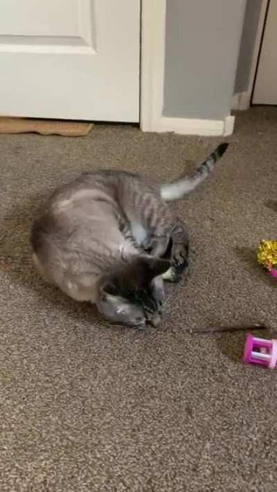 Doin’ a kick-flip with a fish