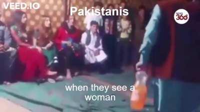 Some of the South Asian species you can find