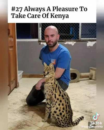 A visit to the veterinarian