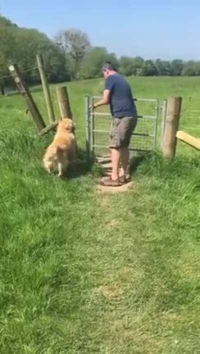 Goldie gate logic...