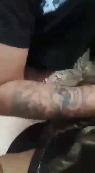 Hittin it from the back 🍑🍆