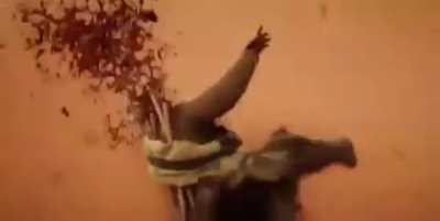 Who? (guys without superpowers btw)